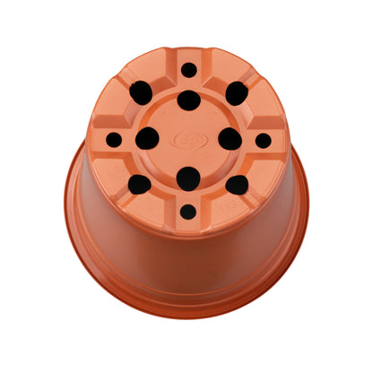 CONTENEDOR TERMOF 13X11 ALTO V=1 L  5º TERRA (C:736)