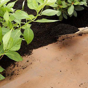 MALLA ANTIHIERBAS PLANTEX GOLD 125 G/M2 2X100 M