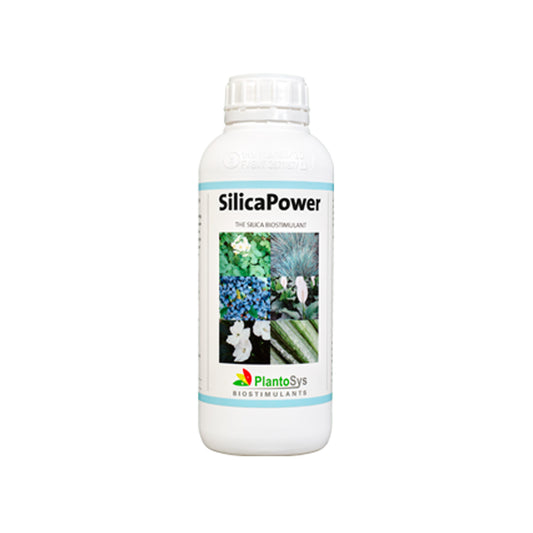 BIOESTIMULANTE SILICAPOWER