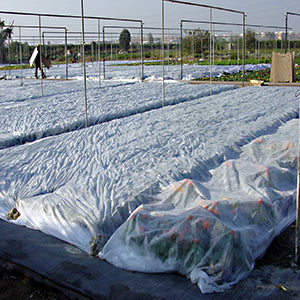 manta termica proteccion cultivos