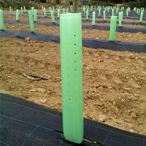 protector árboles tubo invernadero 